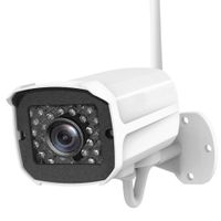 Outdoor Security Camera, 1080P HD Security Camera System Wireless,Pet Camera,Night Vision, 2-Way Audio,2.4Ghz WiFi Smart Home Camera with MicroSD Slot,iOS, Android App for Home/Office/Baby/Nanny/Pet
