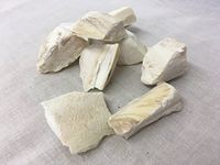 海螵蛸 | Cuttlefish Bone
