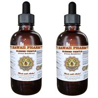 Blessed Thistle Liquid Extract, Organic Blessed Thistle (Cnicus benedictus) Tincture 2x4 oz