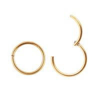2pcs 12mm 12g Cartilage Earring Hoop Helix Earring 316L Surgical Steel Hoop Earrings for Women Nose Rings Hoop 14k Gold Nose Ring 12 Gauge Nose Hoop Conch Helix Earring Lip Ring Nose Piercing Jewelry