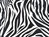 Verazui Zebra Pack of 24 Animal Print Gift Grade Tissue Paper Sheets 15" x 20"
