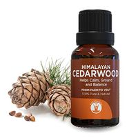 GuruNanda Cedarwood Essential Oil - Aromatherapy - GCMS Tested & Verified 100% Pure Essential Oils - Undiluted - Therapeutic Grade - 15 ml (5 Count)
