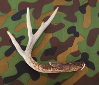 Camouflage Camo Printed Tissue Paper for Gift Wrapping, 24 Sheets