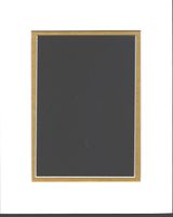 Pack of 10 8x10 White & Gold Double Picture Mats Mattes Matting Cut for 5x7 Pictures