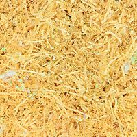 Worlds Crinkle Cut Paper Shred for Packing Filler Gift Wrap Basket Filler Colored Crinkle Paper 2LB French Vanilla