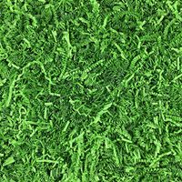 Worlds Crinkle Cut Paper Shred for Packing Filler Gift Wrap Basket Filler Colored Crinkle Paper 2LB Lime Green