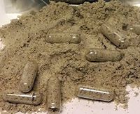 Moringa Oleifera Malunggay Seed Powder Capsules - Non GMO - All Natural! (1200) - Made Fresh On Demand!