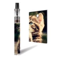Decal Sticker Skin WRAP Protective Vinyl Sweet Cuddly Pussy Sticker NOT a Vape for Vision Spinner 2