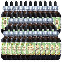 Reishi Mushroom (Ganoderma Lucidum) Glycerite, Organic Dried Mushrooms Alcohol-Free Liquid Extract (Brand Name: HerbalTerra, Proudly Made in USA) 30x2 fl.oz (30x60 ml)