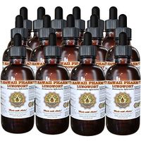 Lungwort (Pulmonaria officinalis) Liquid Extract 15x4 oz
