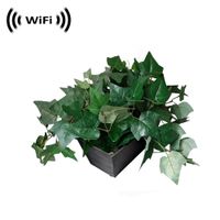 1080p IMX323 Sony Chip Super Low Light Spy Camera with WiFi Digital IP Signal, Recording & Remote Internet Access (Camera Hidden in Fake Plant)