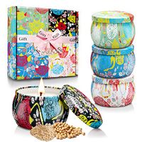 Fding Scented Candles Gift Set, 4.4 Oz Natural Soy Wax Aromatherapy, Stress Relief Soy Candles Gifts, Girl Travel Candles in Tins Candles with Pure Essential Oil Women Gifts 4 Pack