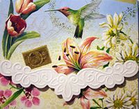 Carol Wilson Fine Arts Inc Delights Blank 10 Card Set Portfolio with a Hummingbird