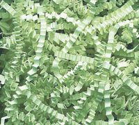 24 Colors - U Pick Gift Basket Shred, Crinkle Paper Grass Filler (8oz) 1/2LB (Mint Green) nfLG1871