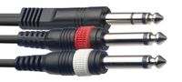 Stagg 10ft. Y Cable - Stereo Phone Plug / 2 x Phone Plug