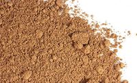 Reishi Mushroom Powder (1 lb)