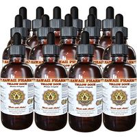 Yellow Dock Liquid Extract, Organic Yellow Dock (Rumex Crispus) Tincture, Herbal Supplement, Hawaii Pharm, Made in USA, 15x4 fl.oz