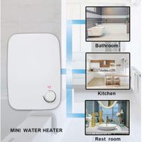 SUQIAOQIAO China Factory Wholesale Mini Wall Mounted hot Shower Water Heater Electric tankless Water Heater