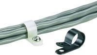 Panduit CCS25-S8-C Fixed Diameter Cable Clamp, Nylon 6.6, Natural, #8 Screw Mounting Method, 0.41" Bundle Offset, 0.25" Max Bundle Diameter, 0.37" Width (Pack of 100)