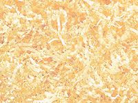 Crinkle Paper Shred for Packaging Gift Box/Basket Filler 2-Ounce Bag (French Vanilla)
