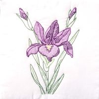 Jack Dempsey Stamped White Quilt Blocks 18"X18" 6/Pkg-Iris