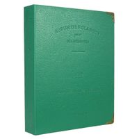 Borya 120 Pockets Photo Album for Instax Mini Liplay/Fujifilm Instax Mini 9/Mini 8/Mini 90/Mini 25/Polaroid Snap PIC-300/HP Sprocke/Kodak Mini 3-Inch Film.(Dark Green, 120 Pockets)