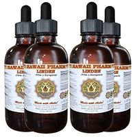 Linden (Tilia x europaea) Liquid Extract 4x4 oz