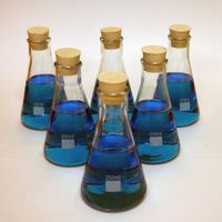 LabStock 250ml Erlenmeyer Flask, Glass with Rubber Stoppers, Pack of 6
