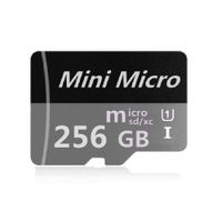 256GB SD Micro Memory Card with Adapter, High Speed 256GB SD Micro Card Class 10 Memory Card for Memory Expansion, Movie Music Storage, Portable Carrying, Data Copy and Traffic Recorder Mem (Gray)