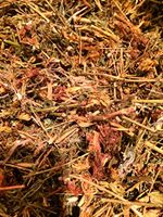 Organic Bio Herbs-Organic Dried St. John’s Worth (Hypericum Perforatum) 2 Oz.