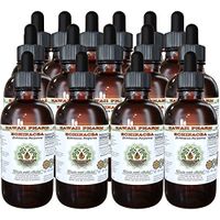Echinacea Alcohol-Free Liquid Extract, Echinacea (Echinacea Purpurea) Dried Root Glycerite Hawaii Pharm Natural Herbal Supplement 15x4 oz