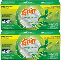 Gain Washing Machine Cleaner, 4 Count (Pack of 2)