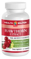 Hawthorn Extract - Hawthorn Extract - Improve Heart Function (1 Bottle)