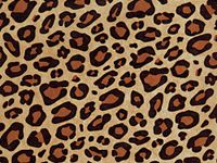 Pack Of 200, Animal Print Leopard Kraft Tissue Paper 20" X 30" Sheets Tissue Prints Made In USA