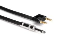 Hosa SKJ-610BN 10' Foot 16 AWG 1/4" TS to Dual Banana Speaker Cable