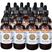 Passion Flower Liquid Extract, Organic Passion Flower (Passiflora Incarnata) Tincture, Herbal Supplement, Hawaii Pharm, Made in USA, 15x4 fl.oz