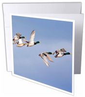 3D Rose Greeting Cards with Envelopes - Set of 12 Greeting Card (gc_91752_2)