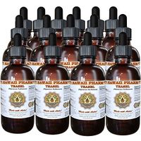 Teasel (Dipsacus fullonum) Liquid Extract 15x4 oz