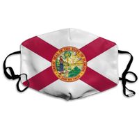 Florida Dust Mask,Washable and Reusable Cleaning Gardening Outdoor Activities Warm Windproof Mask