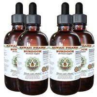 Burdock Alcohol-Free Liquid Extract, Organic Burdock (Arctium Lappa) Dried Root Glycerite Hawaii Pharm Natural Herbal Supplement 4x4 oz