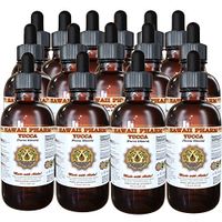 Yucca (Yucca glauca) Liquid Extract Natural Herbal Supplement 15x4 oz