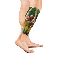 Leg Sleeve Watermelon Fruit Basket Calf Sleeves 1 Pair for Men/Women Running/Cycling/Maternity/Travel/Ourdoor Activities