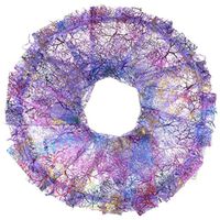 Outdoorfly 50PCS Organza Jewelry Gift Bag 4x6 Inches Purple Coralline Pattern Drawstring Pouches for Candy Chocolate Party Christmas Howllween Wedding Favor Bags（Purple Coralline 50PCS）