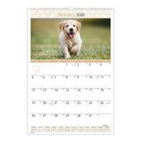 AT-A-GLANCE 2020 Monthly Wall Calendar, 15-1/2" x 22-3/4", Large, Puppies (DMW16728)