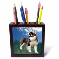 3dRose LLC Pen Holder (ph_4439_1)