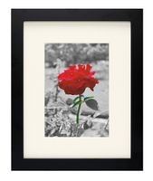 Golden State Art, Set of 10, 8x10 Photo/Picture Frame with Ivory Mat for 5x7, Black