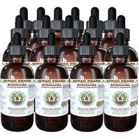 Echinacea Alcohol-Free Liquid Extract, Echinacea (Echinacea Angustifolia) Dried Root Glycerite Hawaii Pharm Natural Herbal Supplement 15x4 oz