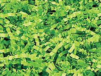 Lime Crinkle Cut Paper Shred 8 oz Bag ~ Spring-fillÂ Shred (Ten 8 oz. Packs) - WRAPS-ZF08LM