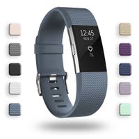 POY Replacement Bands Compatible for Fitbit Charge 2, Classic Edition Adjustable Sport Wristbands, Small Blue-Gray