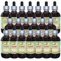 Bilberry (Vaccinium Myrtillus) Glycerite, Dried Berries Alcohol-Free Liquid Extract (Brand Name: HerbalTerra, Proudly Made in USA) 20x4 fl.oz (20x120 ml)